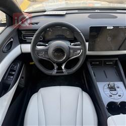 بي واي دي سيل 06 DM-i